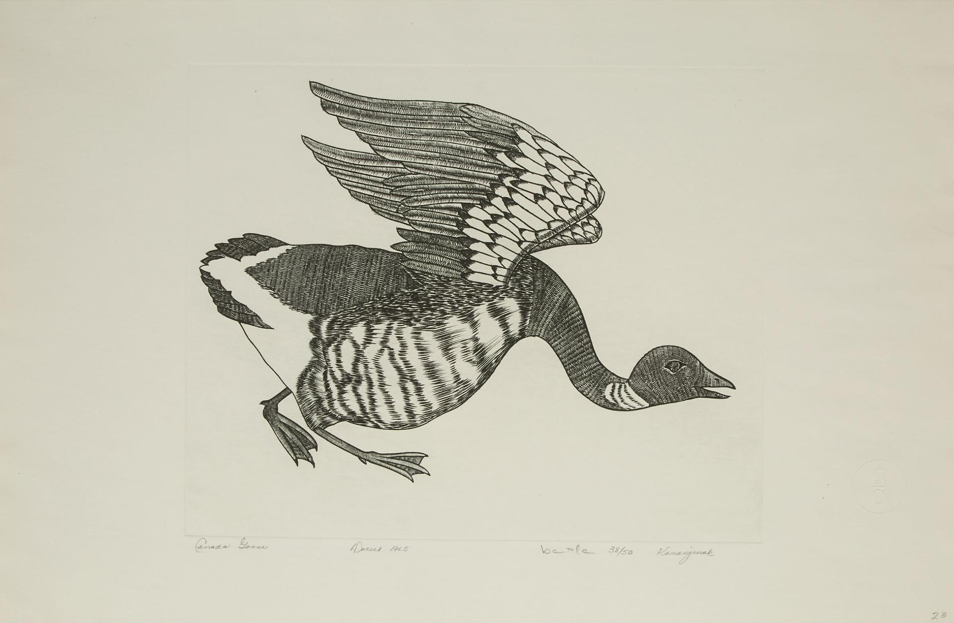 Kananginak Pootoogook (1935-2010) - Canada Goose