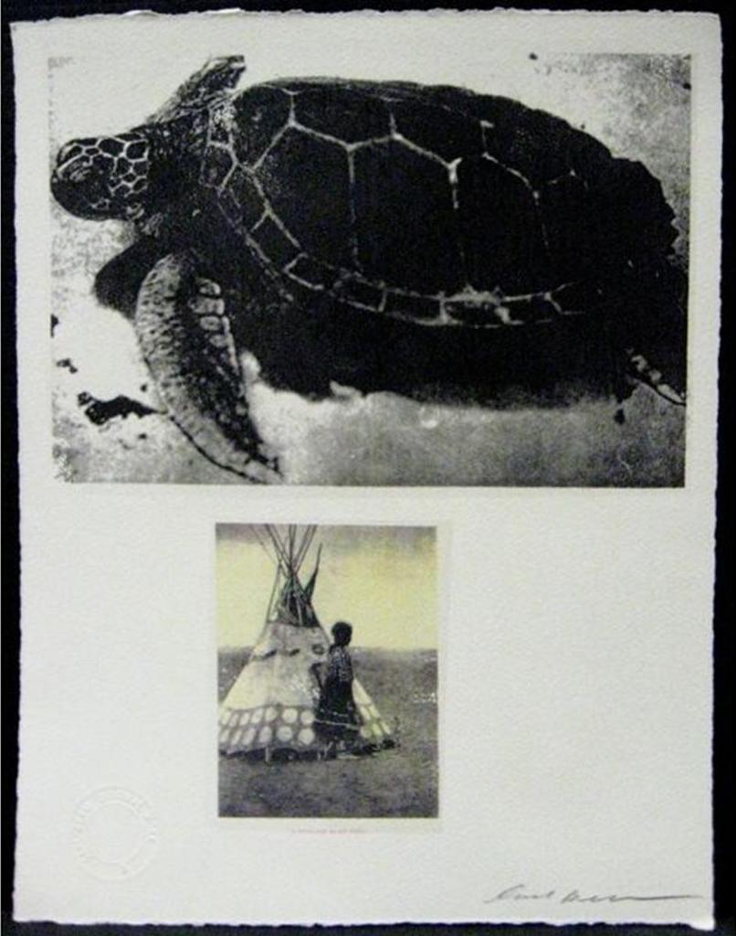 Carl Beam (1943-2005) - Tortoise/A Piegan Play Tipi