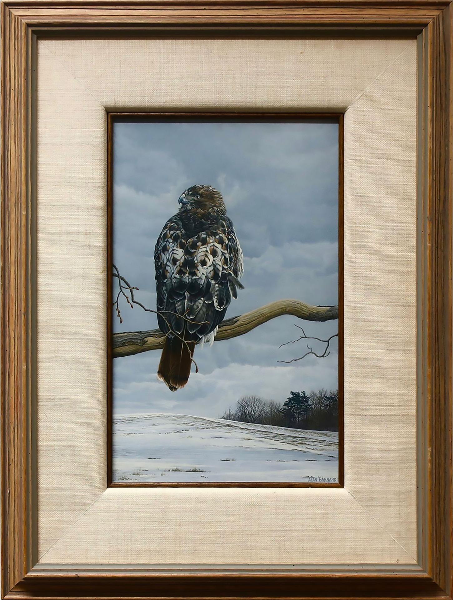 Alan Barnard (1962) - Untitled (Falcon)