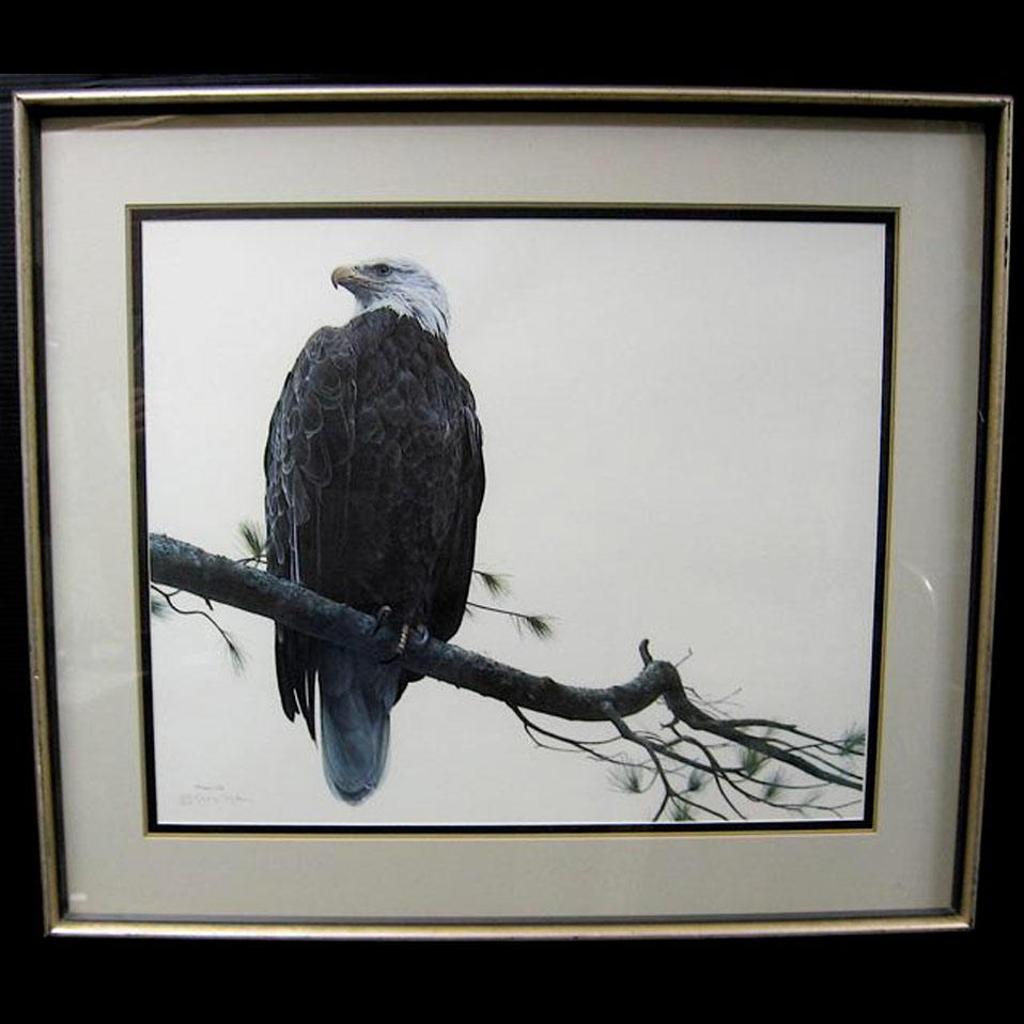 George Elson Mclean (1939) - Bald Eagle