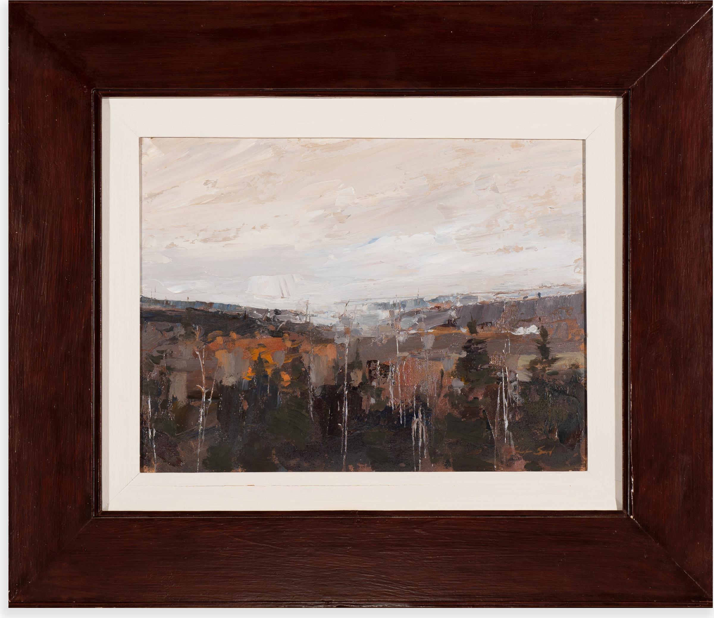 Stephen Scott - Approaching Mist