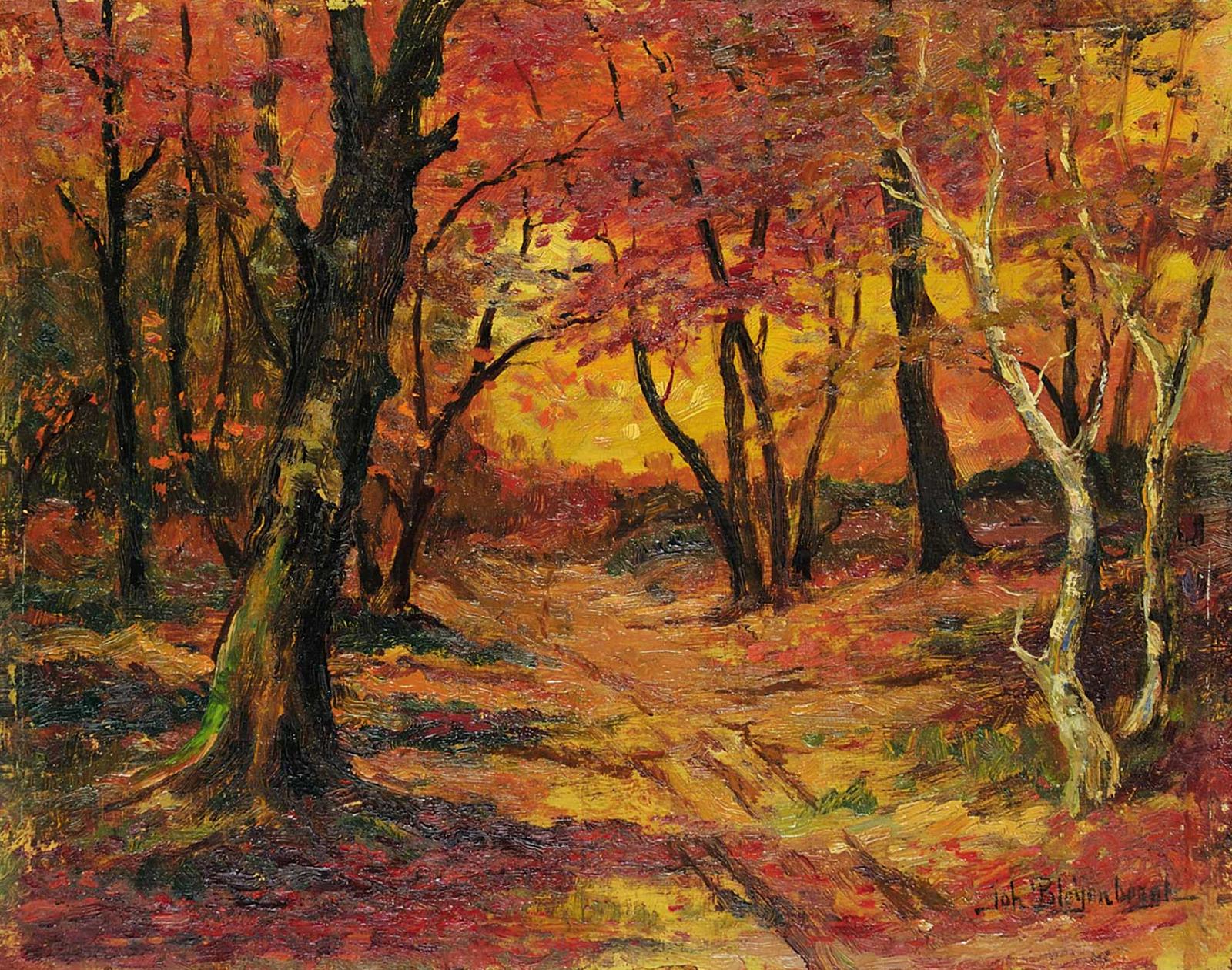 Joh Bleyenberg - Untitled - Sunset in Autumn Woods