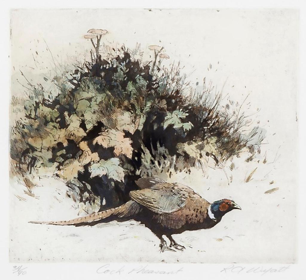 Robert A. Wyatt (1946) - Cock Pheasant