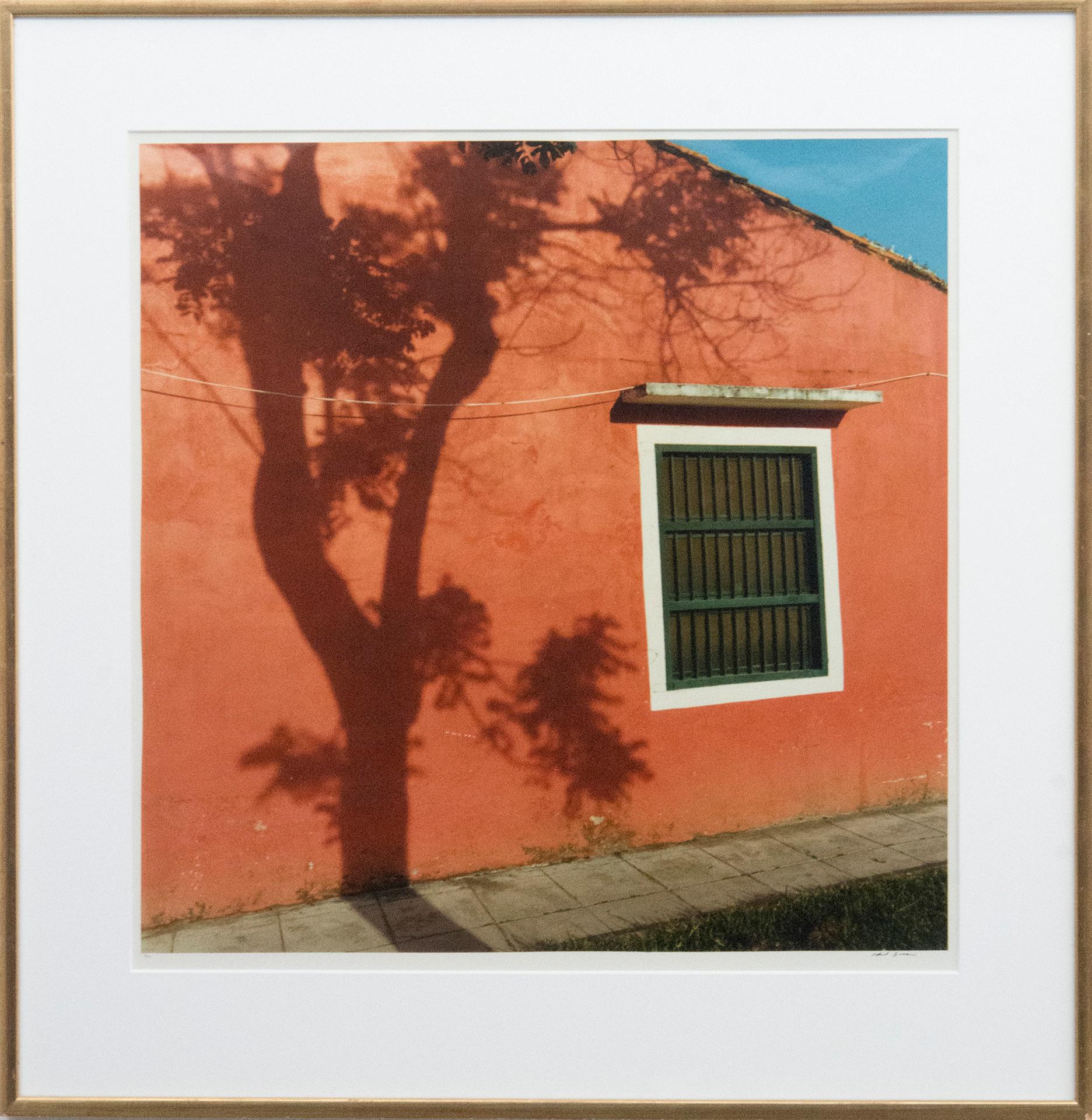 Rafael Goldchain (1953) - Tree Shadows on Red Walls, 1989
