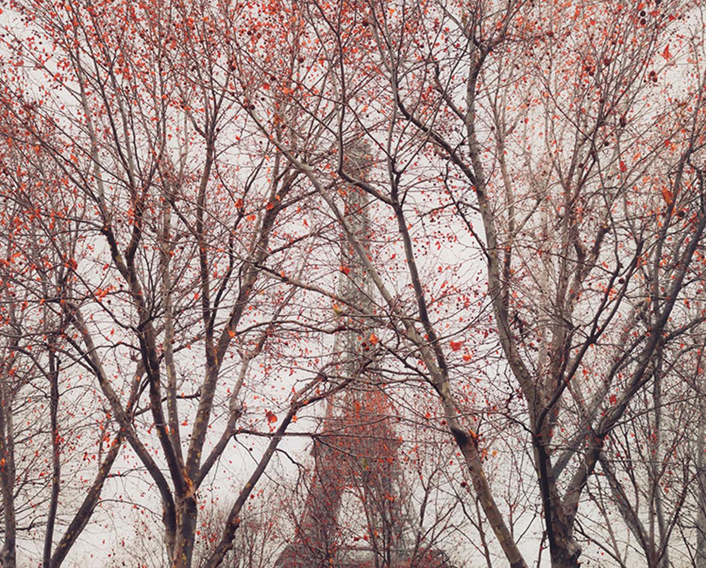 David Burdeny (1968) - Eiffel Tower 01, Paris, France
