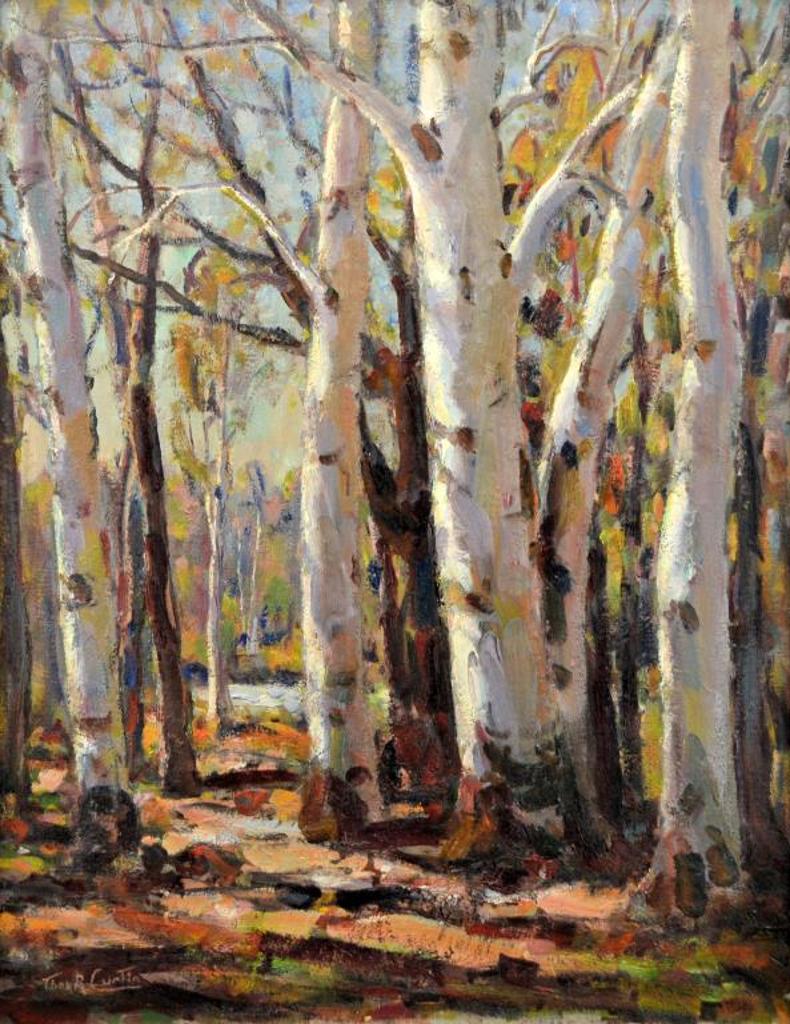 Thomas R. Curtin (1899-1977) - Birch Glade