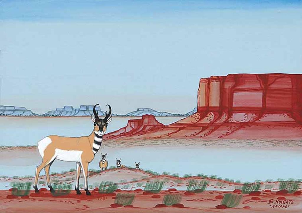 Eugene Holgate - Untitled - Antelope Season