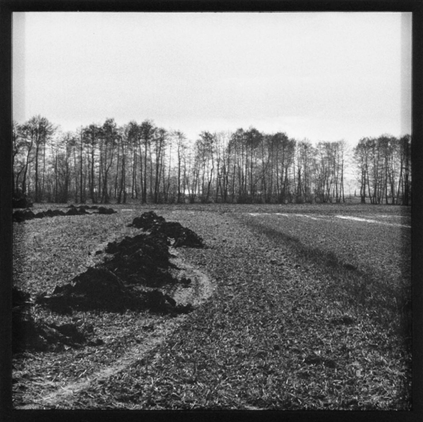 Marie-Jeanne Musiol - Études (Quand la terre retient, Auschwitz-Birkenau), 1996