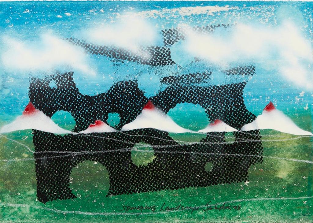 Iain Baxter (1936) - Sponging Landscape