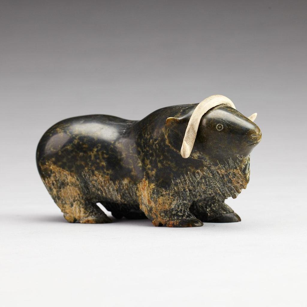 Moshe Kelly (1947) - Muskox