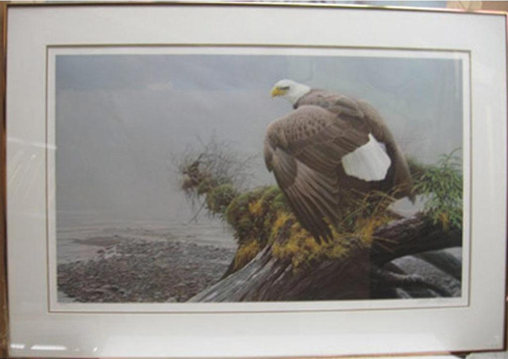 Robert Mclellan Bateman (1930-1922) - Bald Eagle By Shoreline