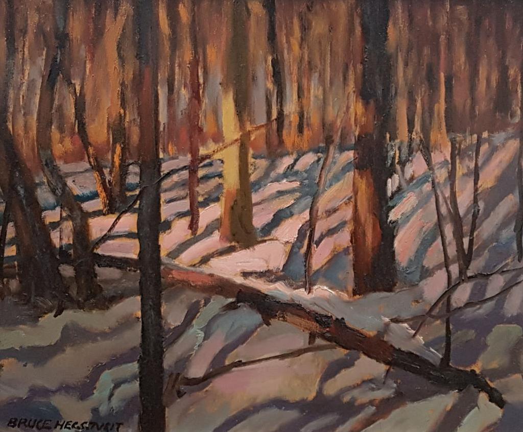 Bruce Allen Heggtveit (1917-2002) - In The Hardwoods, Gatineau Park