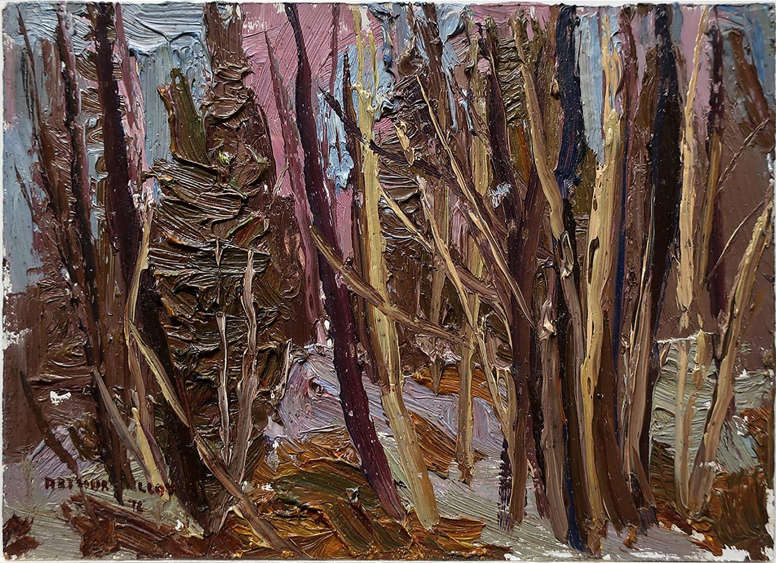 Arthur George Lloy (1929-1986) - Untitled (Woodlands)