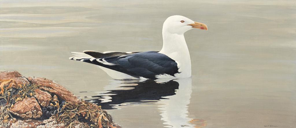 Robert Mclellan Bateman (1930-1922) - Gull