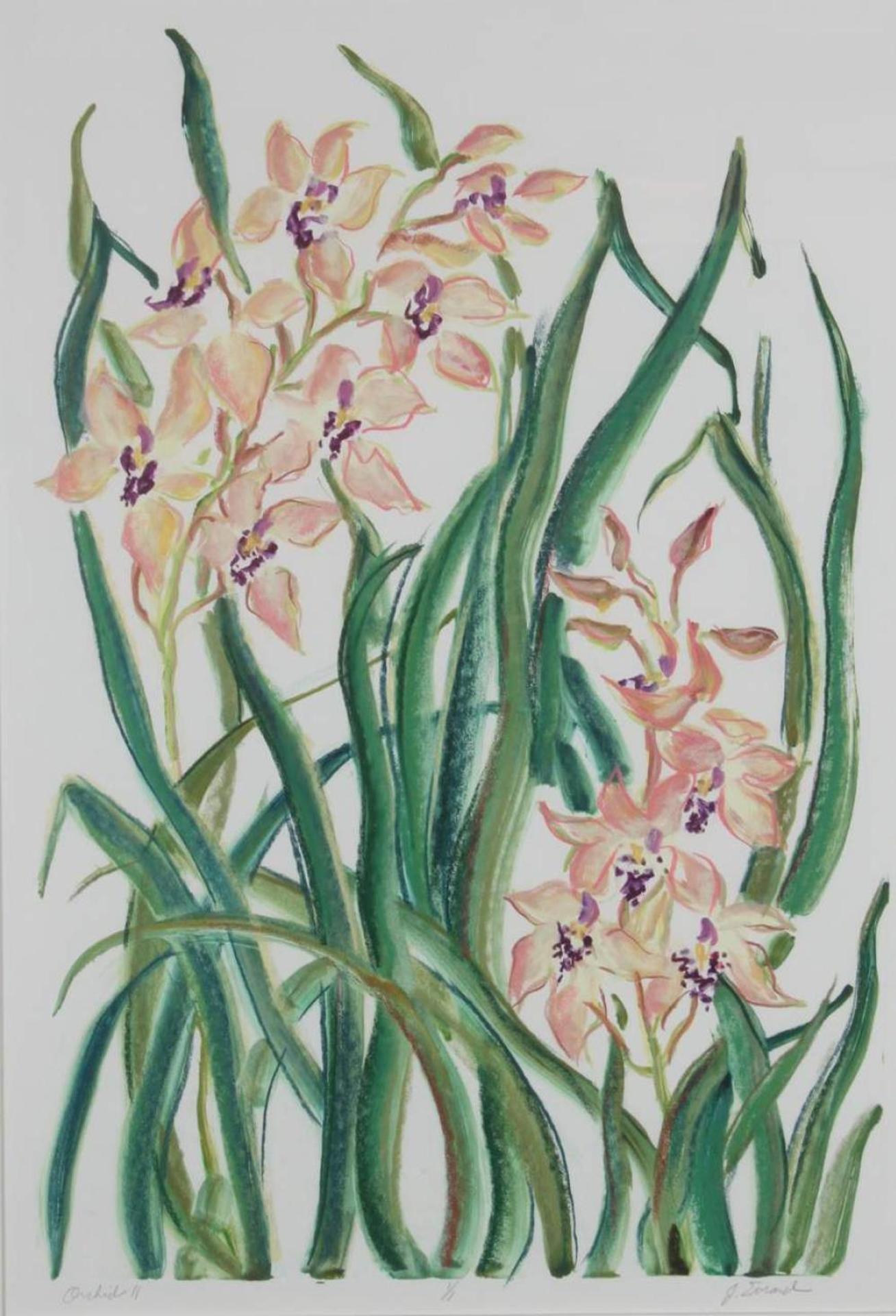 Jamie Evrard (1949) - Orchid II