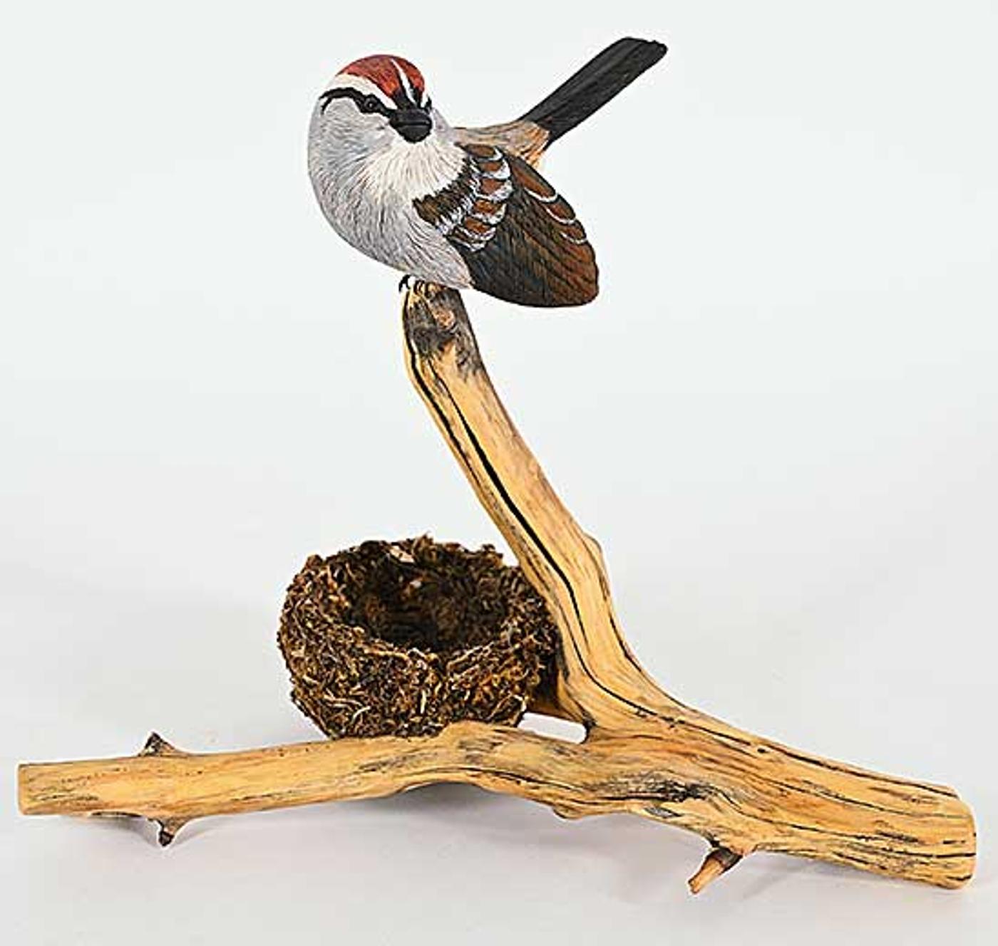 Dick Goerg - Chipping Sparrow and Nest