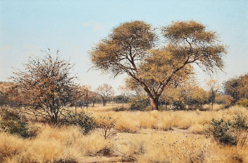 François Koch (1944) - South African Landscape