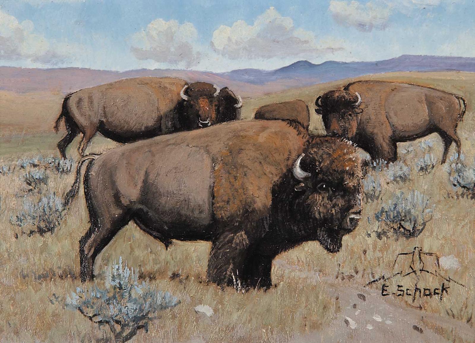 Elmer Schock - Buffalo