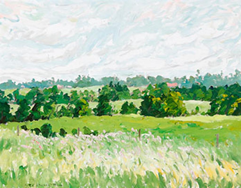 Bruce Steinhoff (1959) - Summer Landscape with Fields and Trees (03859/A88-164)