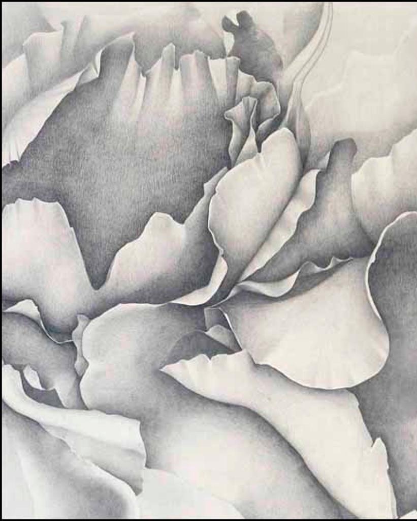 Marsha Stonehouse - Abstract Forms (02724/2013-1275)