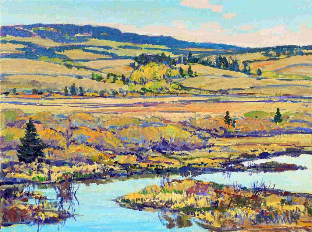 William (Bill) Duma (1936) - Beaver Pond