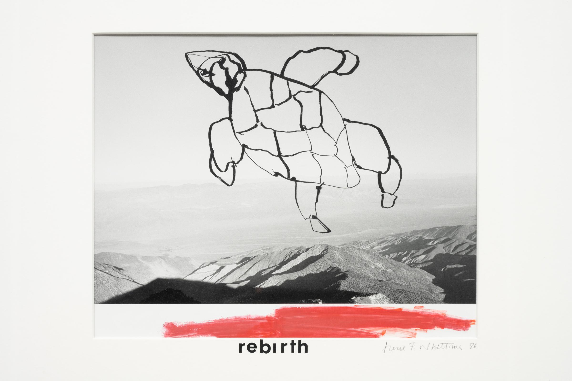 Irene F. Whittome (1942) - Rebirth (Death Valley, California), 1986