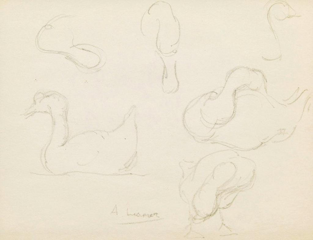Arthur Lismer (1885-1969) - Duck Sketches
