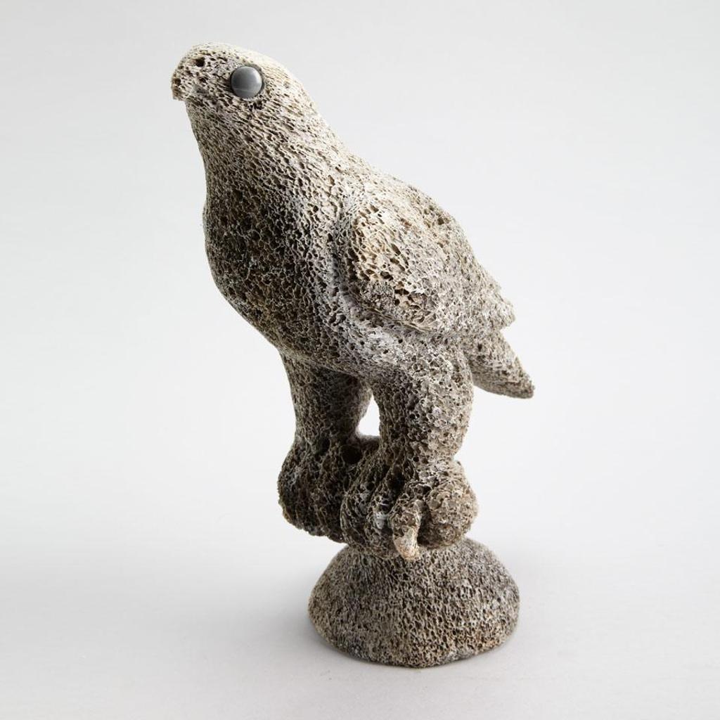 Charlie Ugyuk (1931-1998) - Perched Falcon