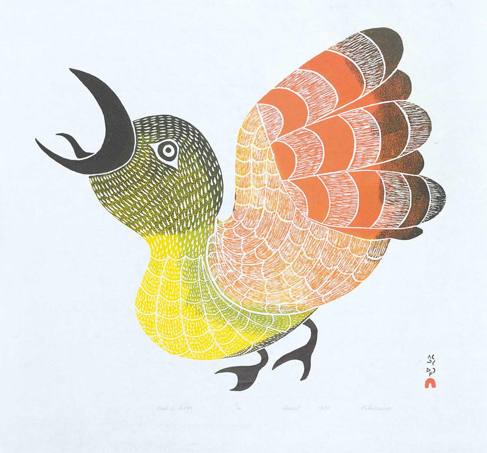 Saila - Bird of Sargo  #3/50