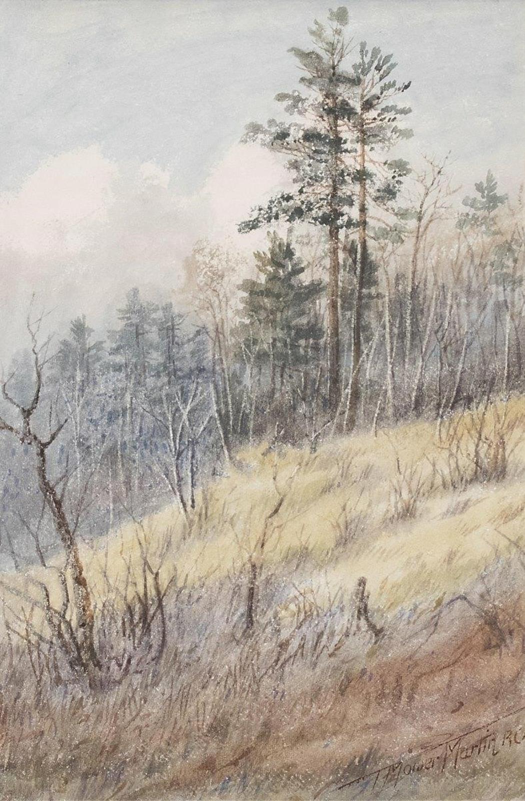 Thomas Mower Martin (1838-1934) - Treed Hillside