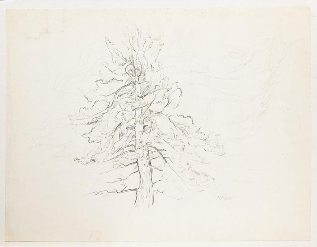 Alexander Samuel Millar (1921-1978) - Tree Study; Forest Landscape; Lake Shore; Trees and Lake; Thistles