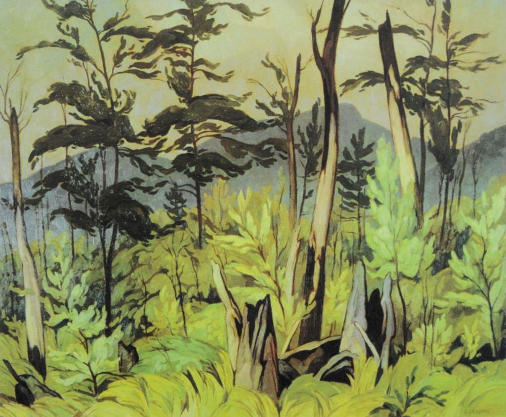 A.J. Casson (1898-1992) - Forest Tangle