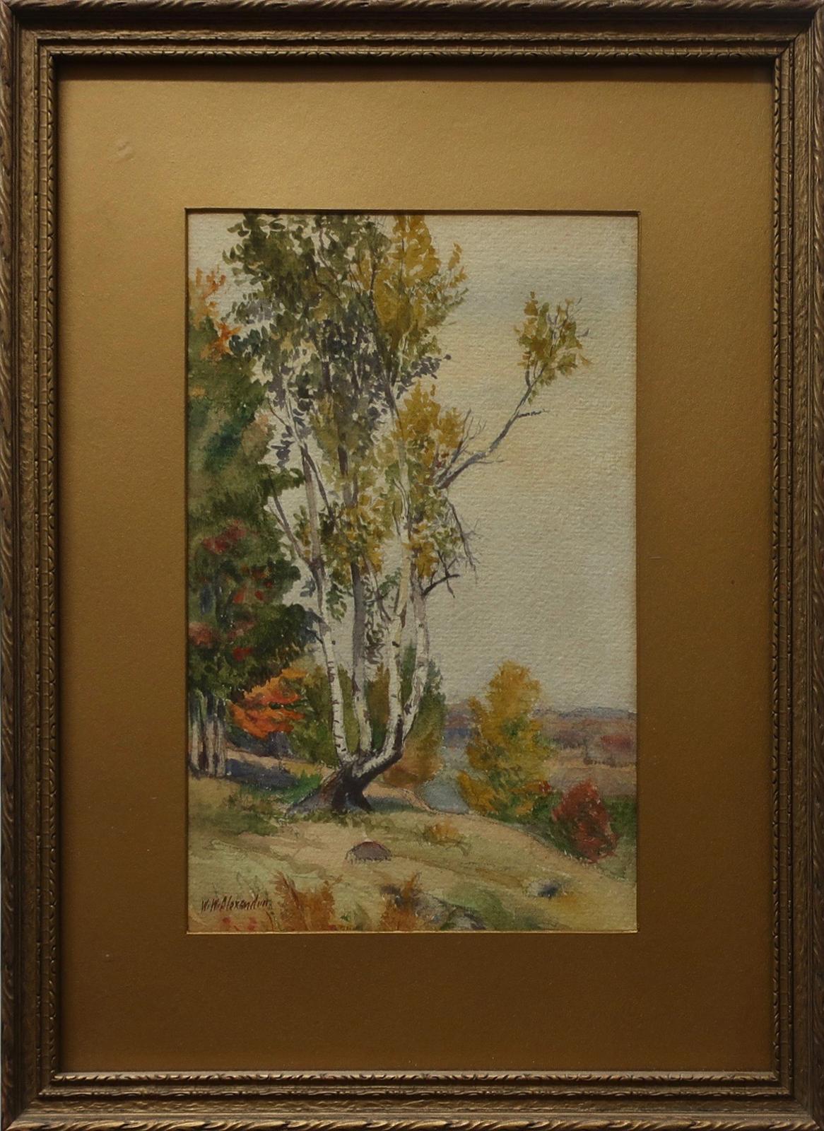 William Walker Alexander (1870-1948) - The Old Birch, Haliburton