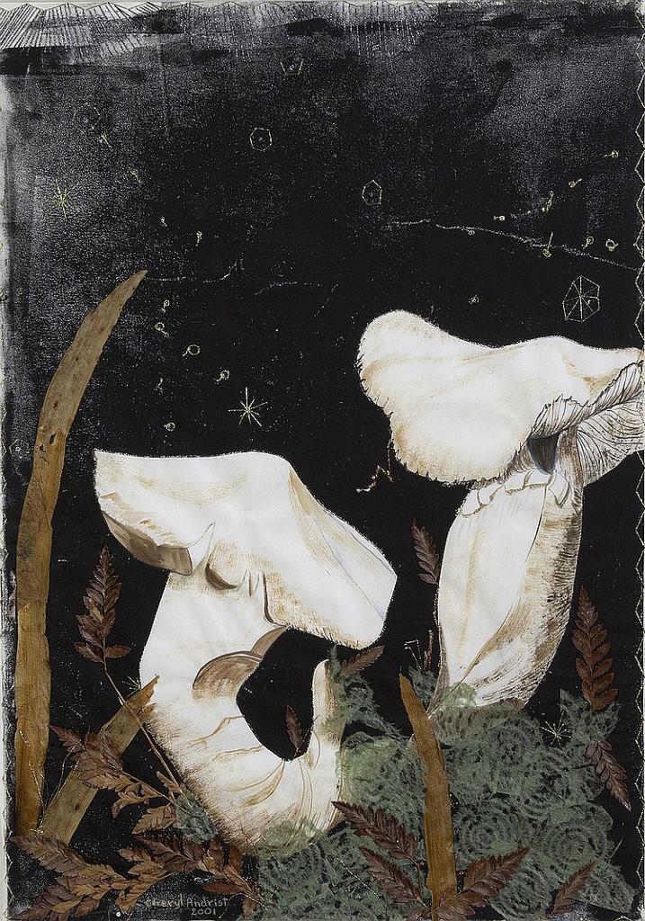 Cheryl Andrist (1945) - Untitled - Untitled (Mushrooms and Night Sky)
