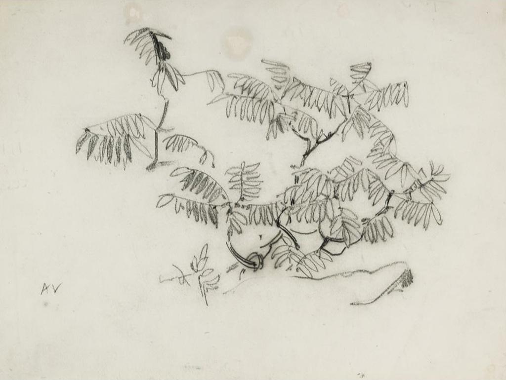Arthur Lismer (1885-1969) - Study Of Leaves