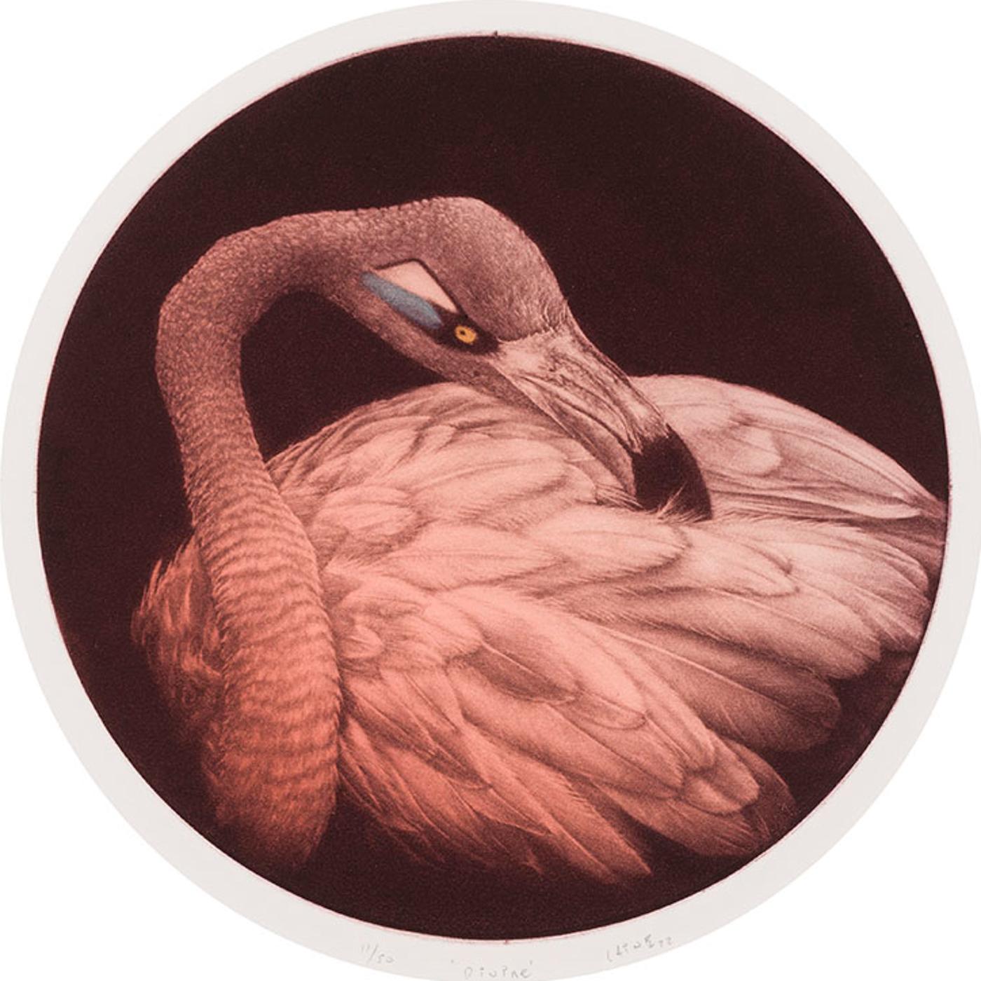 Laine Groeneweg - Divine