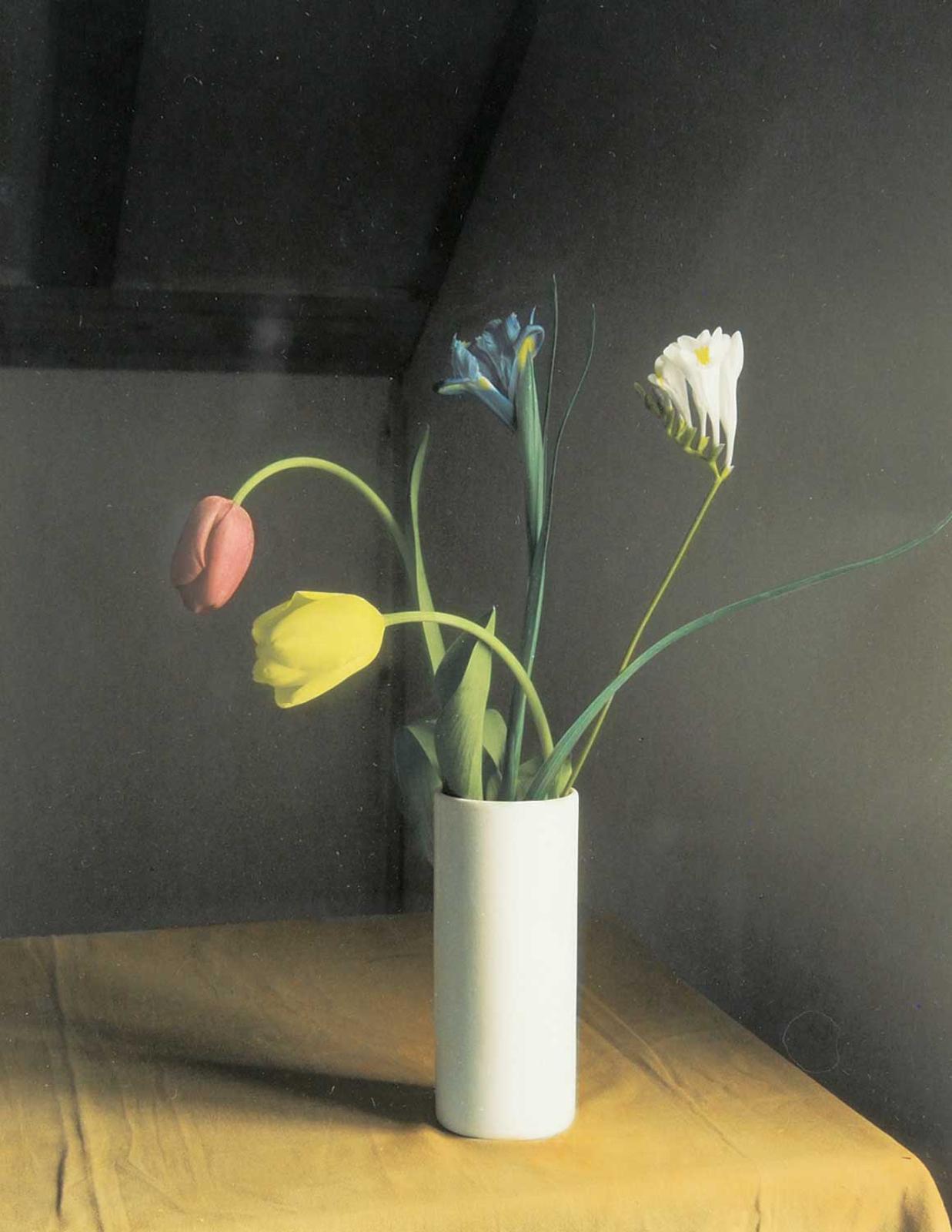 James Daubney - Untitled - Vase of Tulips