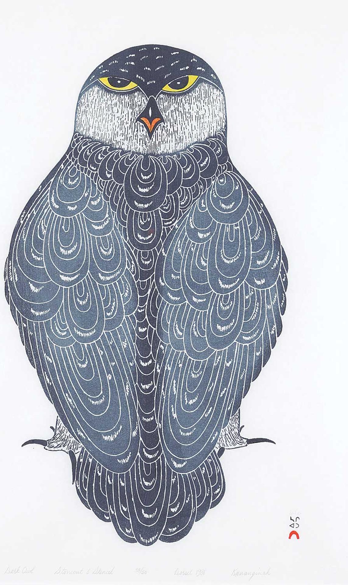 Kananginak Pootoogook (1935-2010) - Dark Owl  #38/50