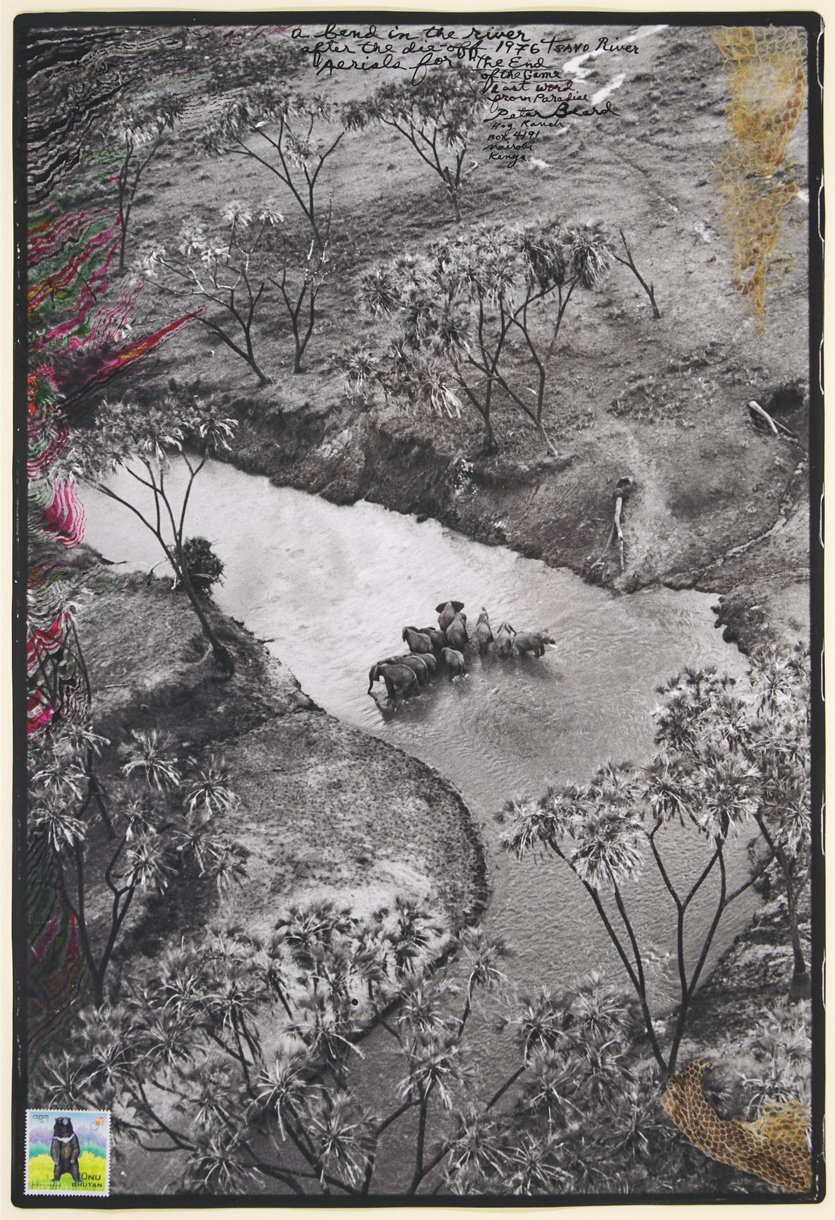 Peter Beard (1938) - A Bend In The River After The Die-Off, 1976