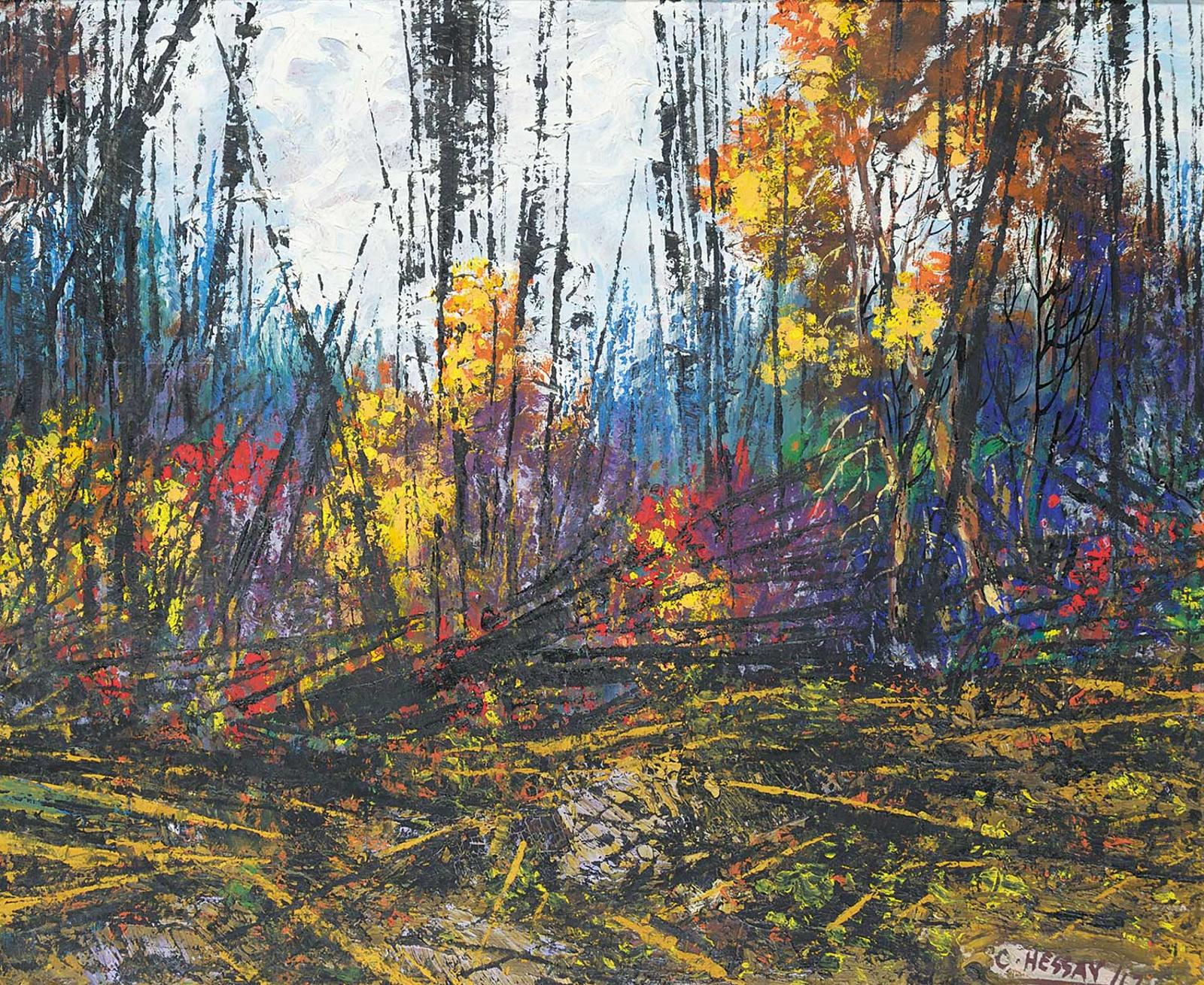 Carle Hessay - Untitled - Colour in the Forest