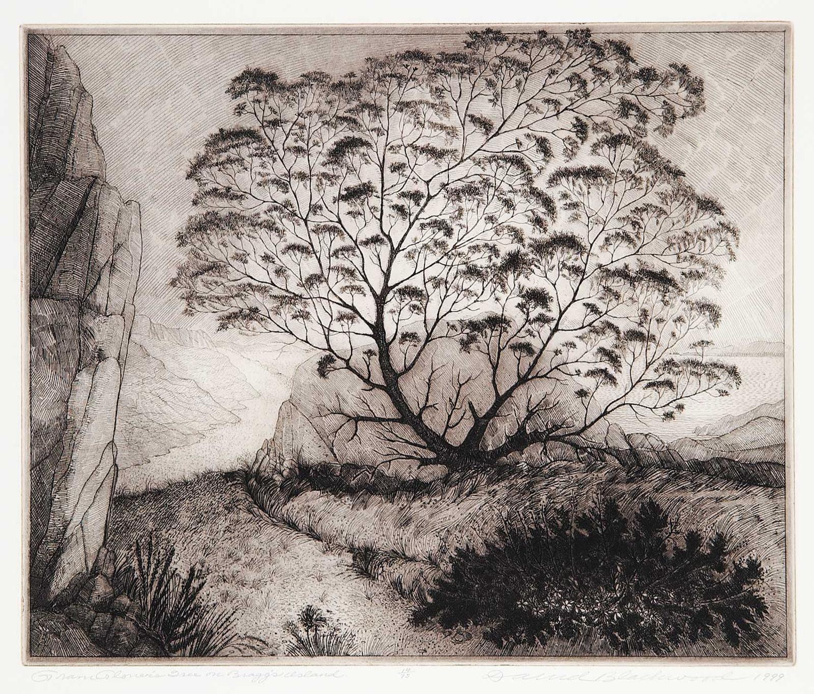 David Lloyd Blackwood (1941-2022) - Gram Glover's Tree on Bragg's Island  #14/75