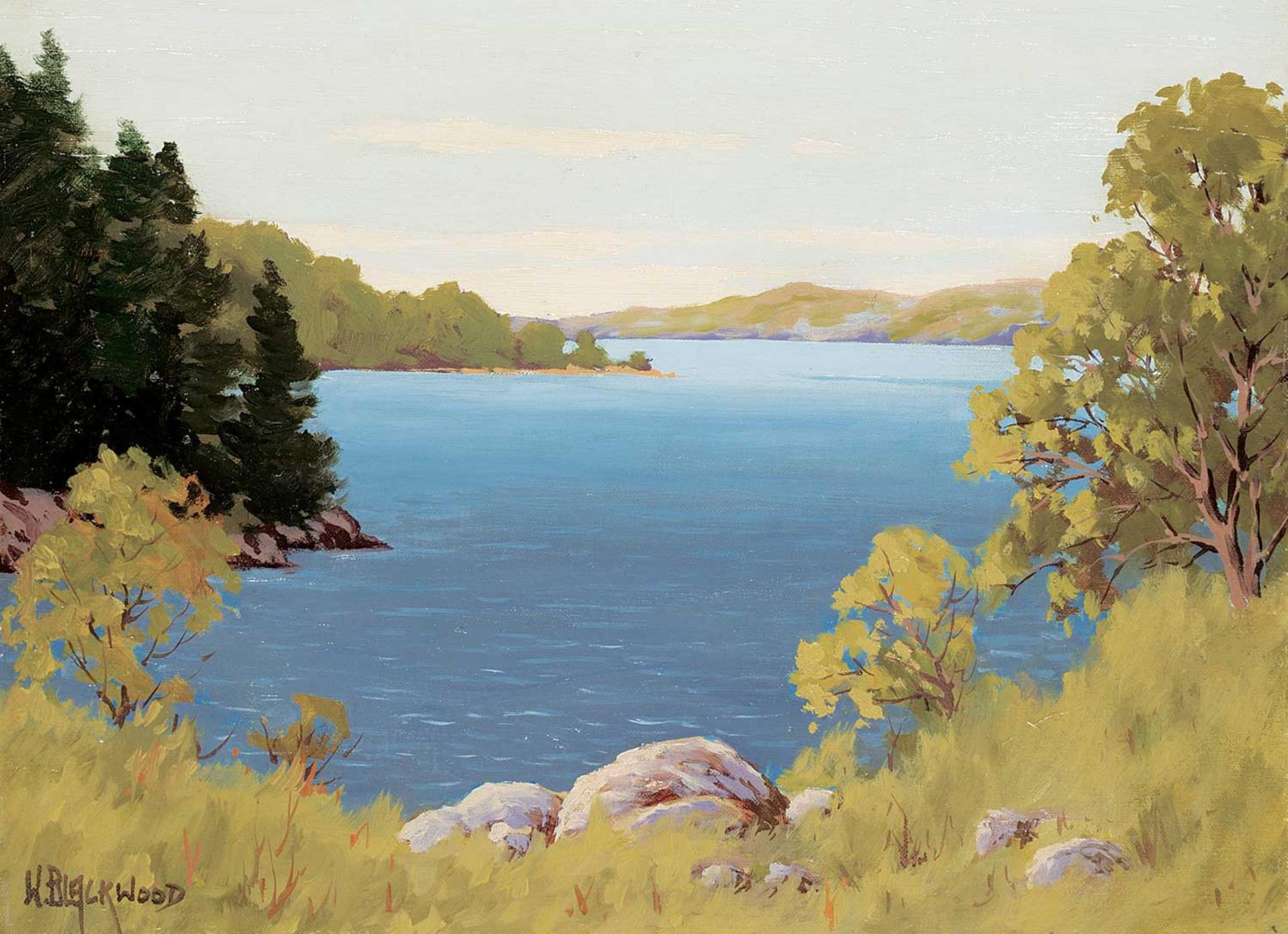 William Gardner Blackwood (1890) - Untitled - Edge of the Lake