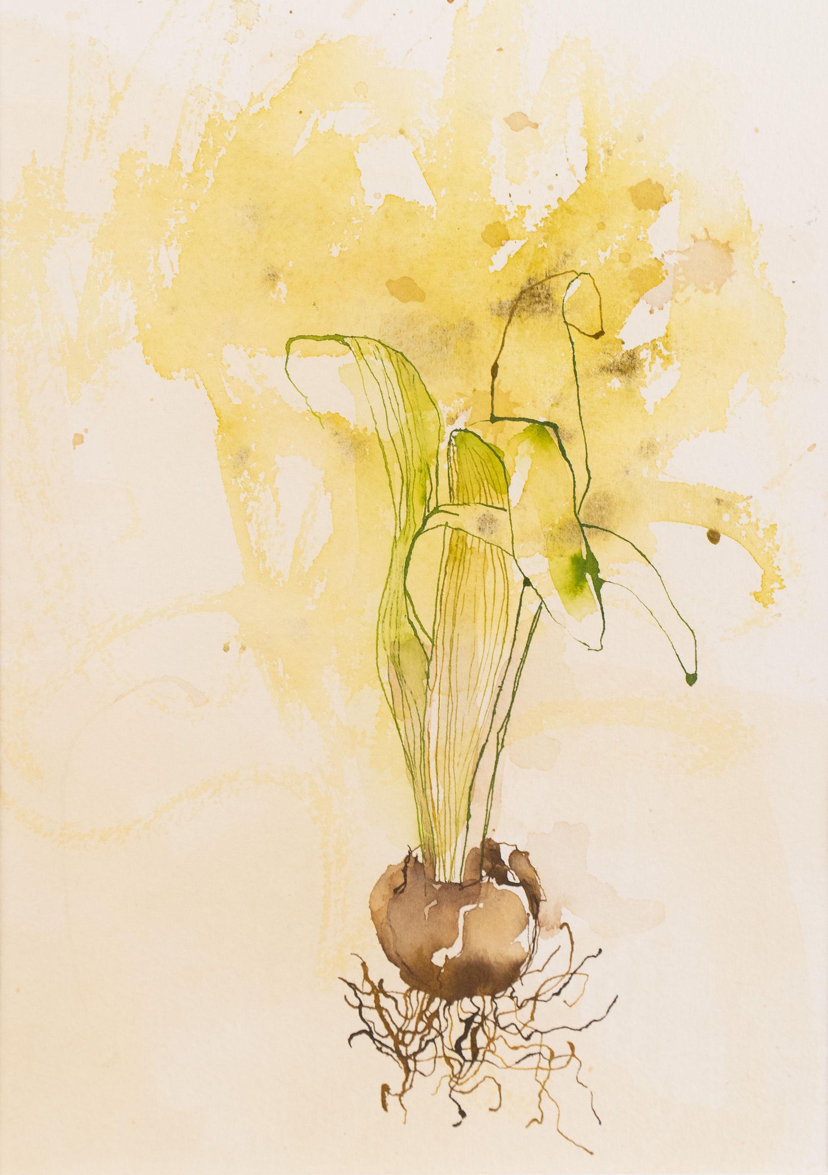 Janice Wright-Cheney - Untitled