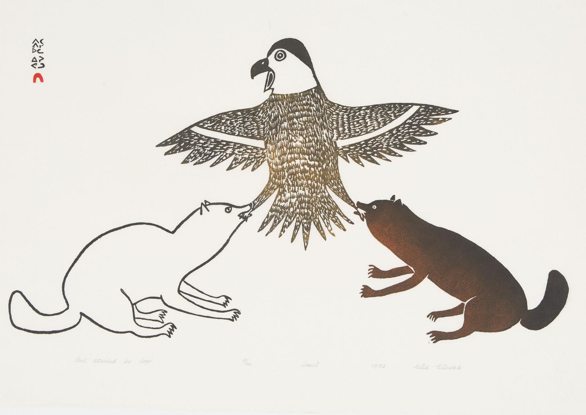 Peter Pitseolak (1902-1973) - Owl Attacked By Dogs
