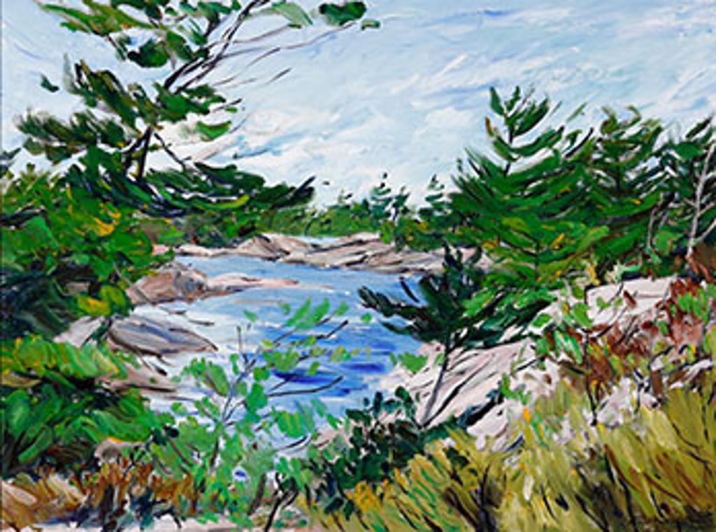 Bruce Steinhoff (1959) - Early Autumn, Franklin Island (03855/A90-050)