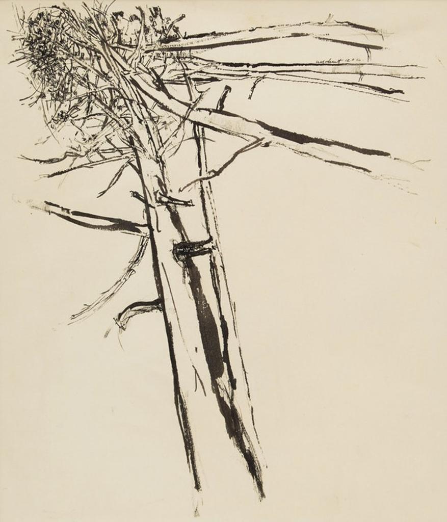 Anthony Morse (Tony) Urquhart (1934-2022) - Tree