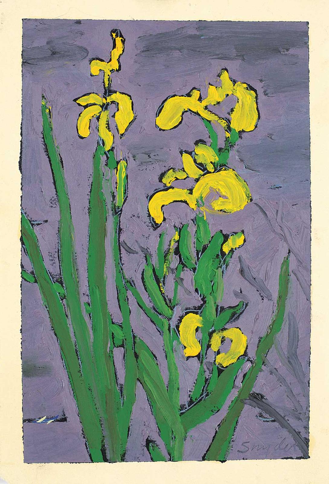 Gordon Snyder (1951) - Yellow Iris, Beaver Lake