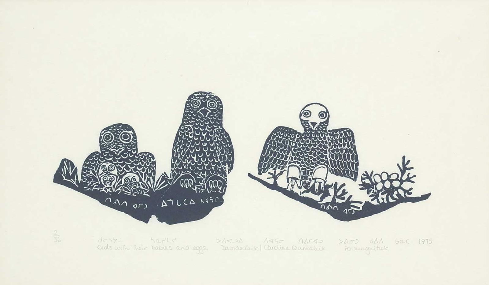 Davidialuk Alasua Amittu (1910-1976) - Owls with their Babies and Eggs  #2/36