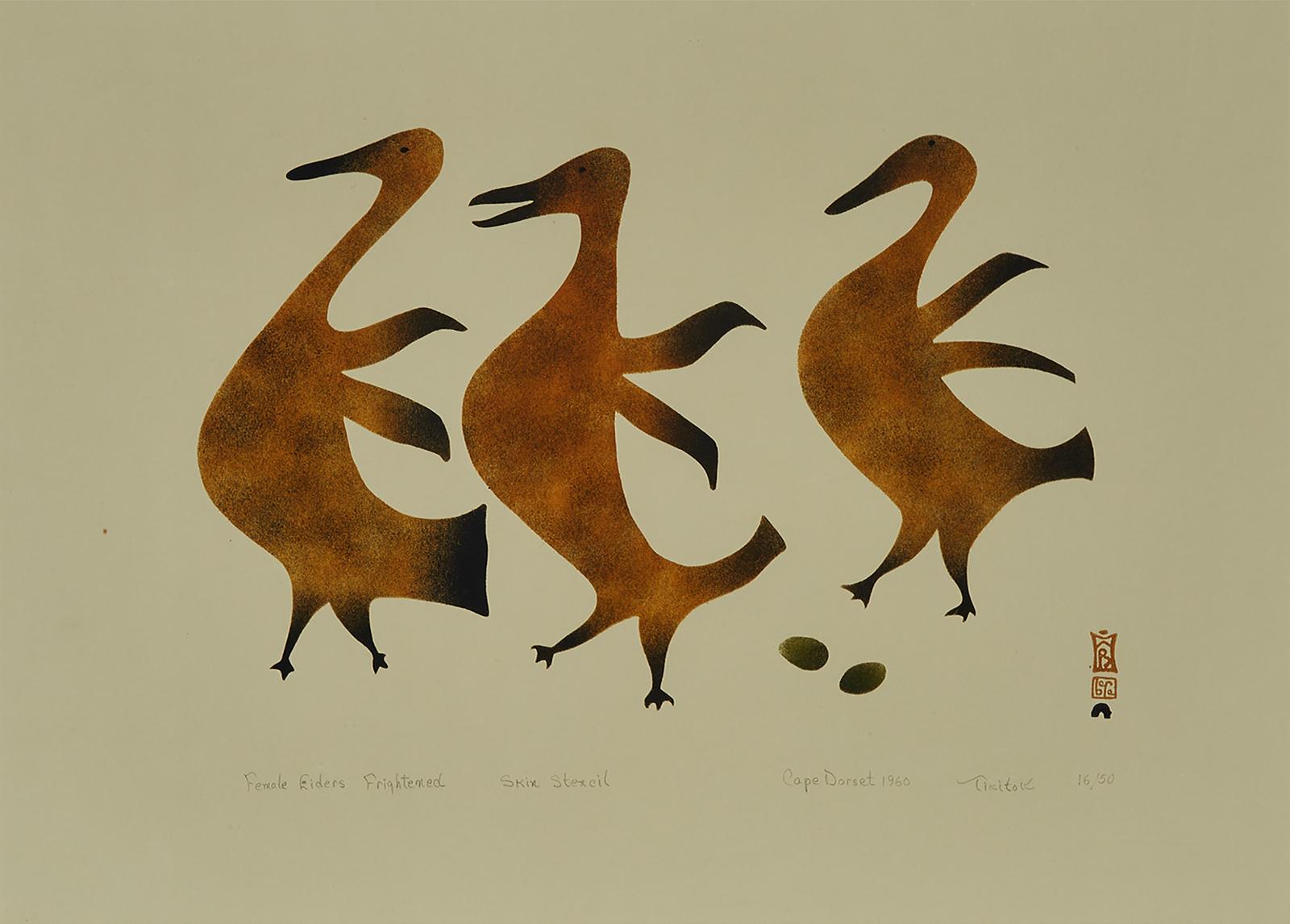 Tikitu Qinnuayuak (1908-1992) - Female Eiders Frightened