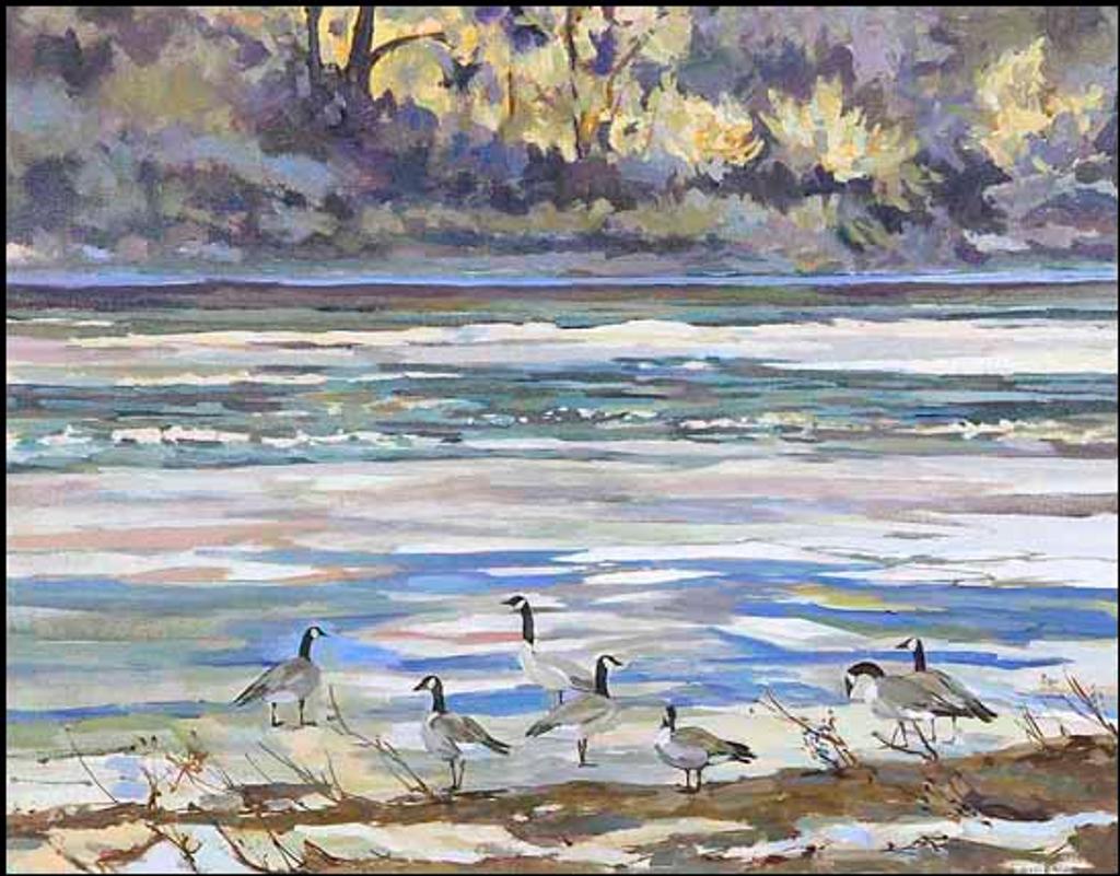 Joan Van Belkum (1928-2014) - Geese on River Edge, Light in Trees (00758/2013-0112)